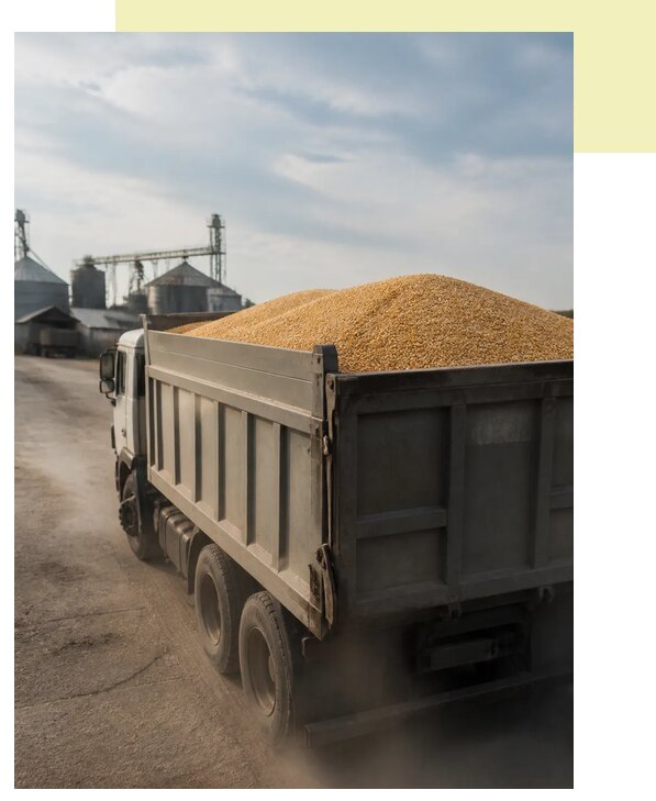 Перевозка сельхозпродукции навалом в Нурлат по цене от 3128 р. | Агросервис-Нрт